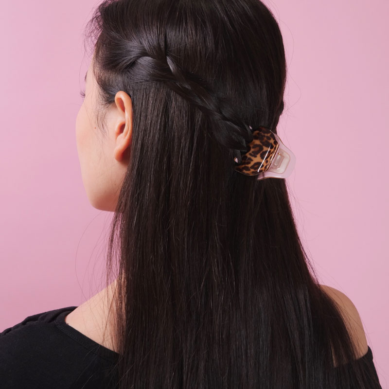 スモール ジュピター ジョー（レオパード ローズ）