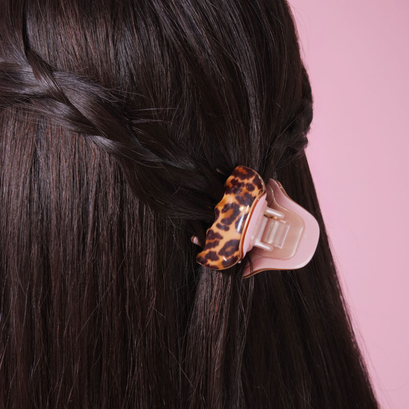 スモール ジュピター ジョー（レオパード ローズ）