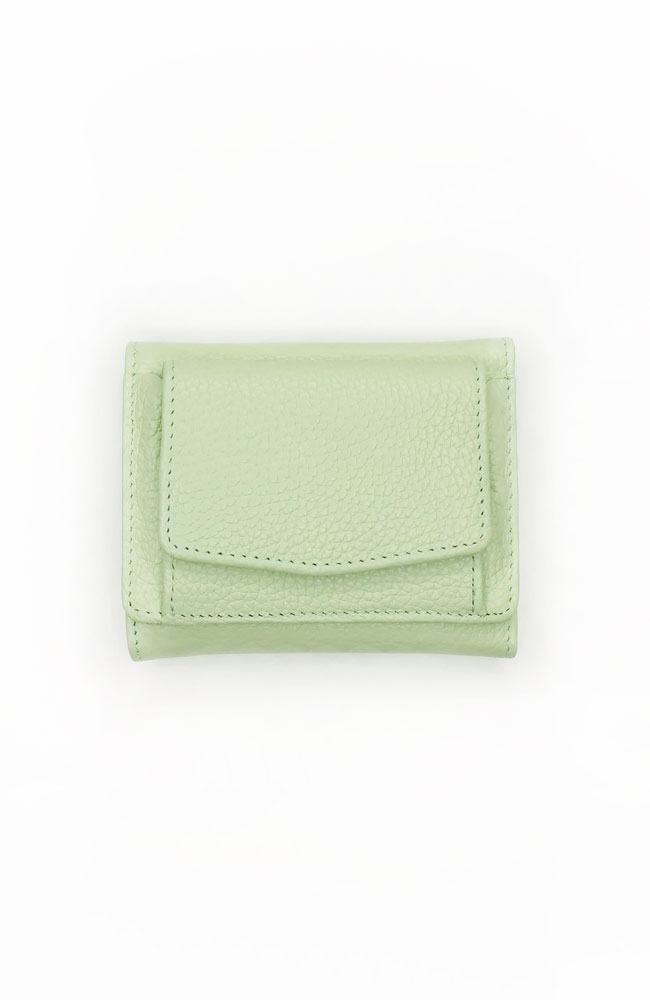 限定 ミニ ウォレット (ピスタチオ)