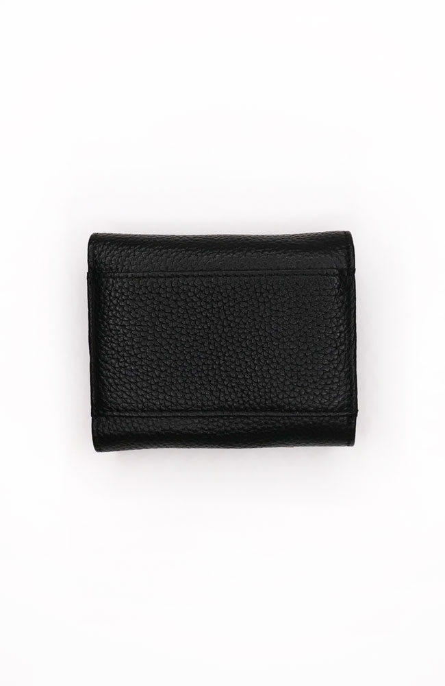 限定 ミニ ウォレット (ブラック) & ポニーテール チューブ 15P(ブラックメタリック） セット