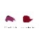 �ƥ��Υ��ƥ󡡥����롡��åץ��ƥ��å���SHISEIDO��