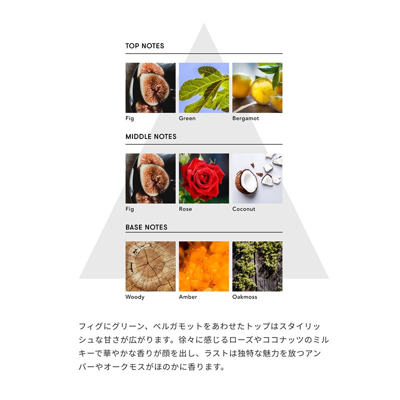 �����ɥѥ�ե��ࡿFig��Fig Leaf��SINN PURETE��