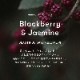 �����ɥѥ�ե��ࡿBlackberry & Jasmine��SINN PURETE��