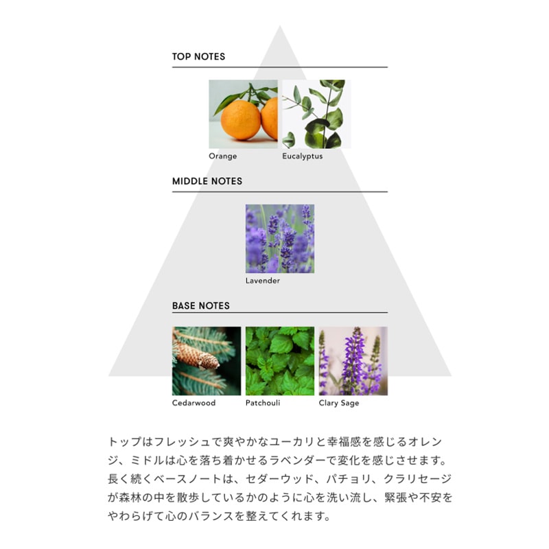 �ޥ���ɥե�ե쥰��󥹡�Purification of Mind�ʿ��ξ����ˡ�SINN PURETE��