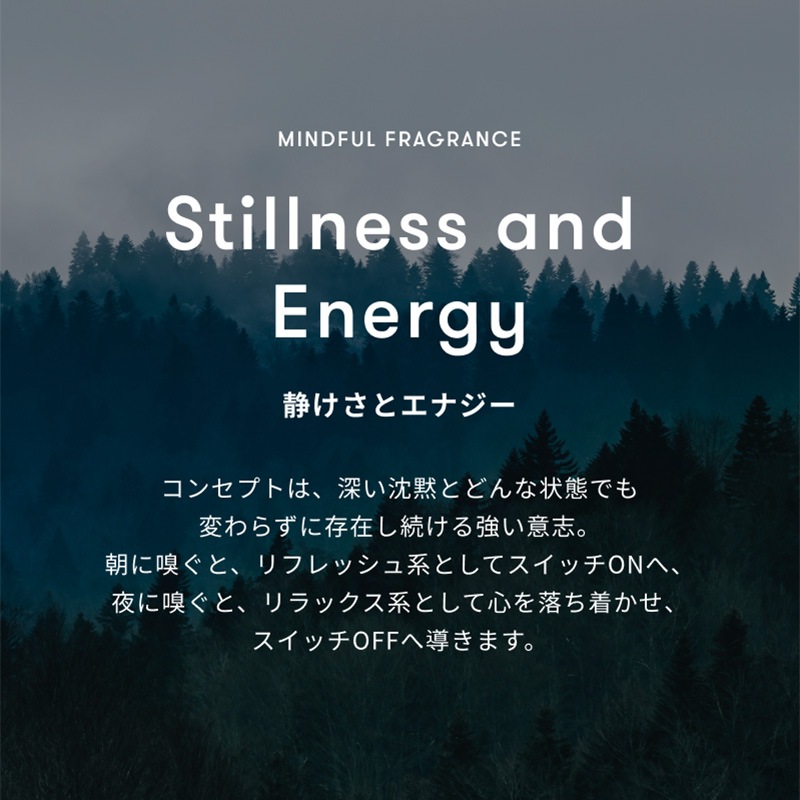 �ޥ���ɥե�ե쥰��󥹡�Stillness and Energy���Ť����ȥ��ʥ����ˡ�SINN PURETE��