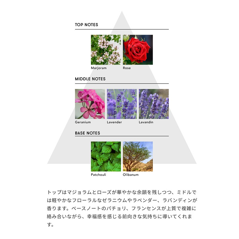 �ޥ���ɥե�ե쥰��󥹡�Passionate Awakening�ʾ�ǮŪ���ܳФ�ˡ�SINN PURETE��