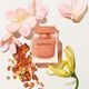 �ʥ륷���������ɥѥ�ե��ࡡ����֥� 30ml��narciso rodriguez��