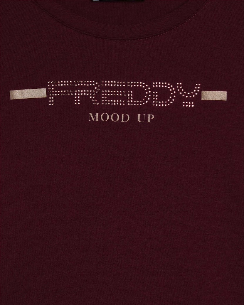 ĹµT�����