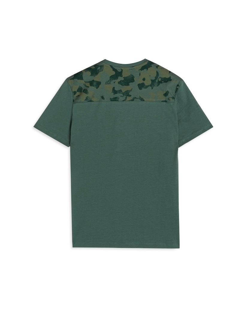 ȾµT�����