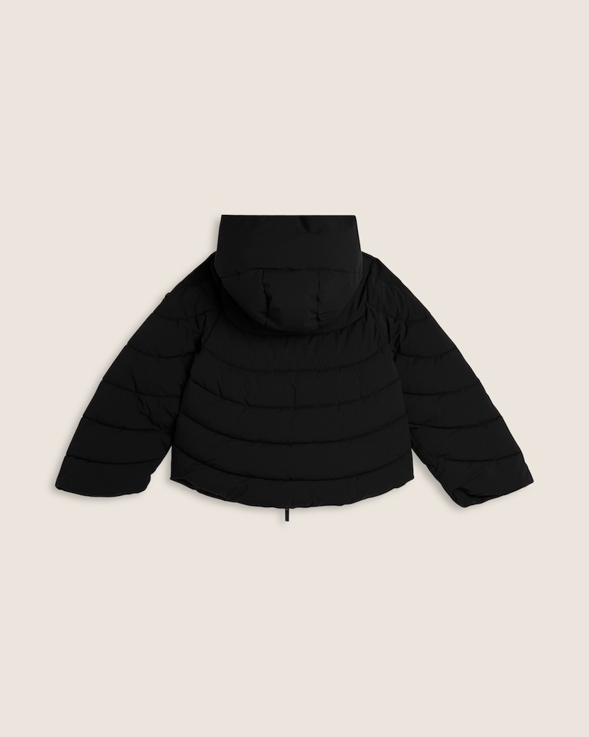 �����󥸥㥱�åȡܥ��ȡ����դ�