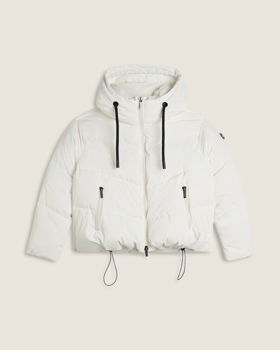 �����󥸥㥱�åȡܥ��ȡ����դ�