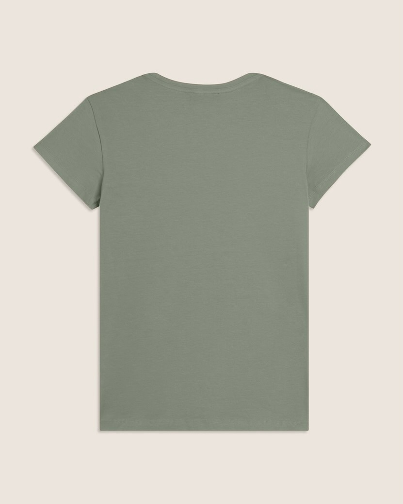 ȾµT�����