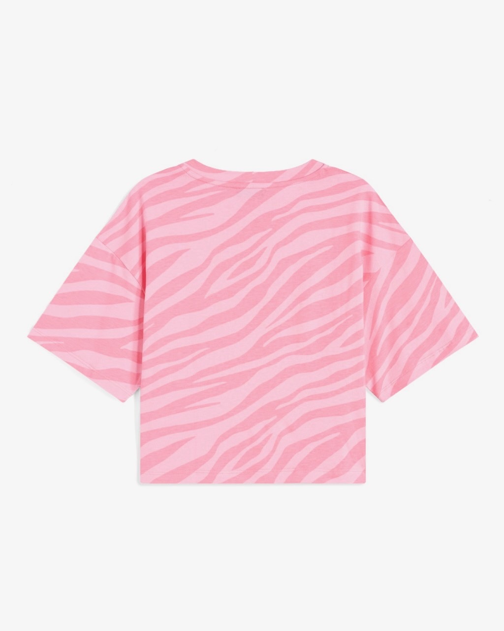 ȾµT�����