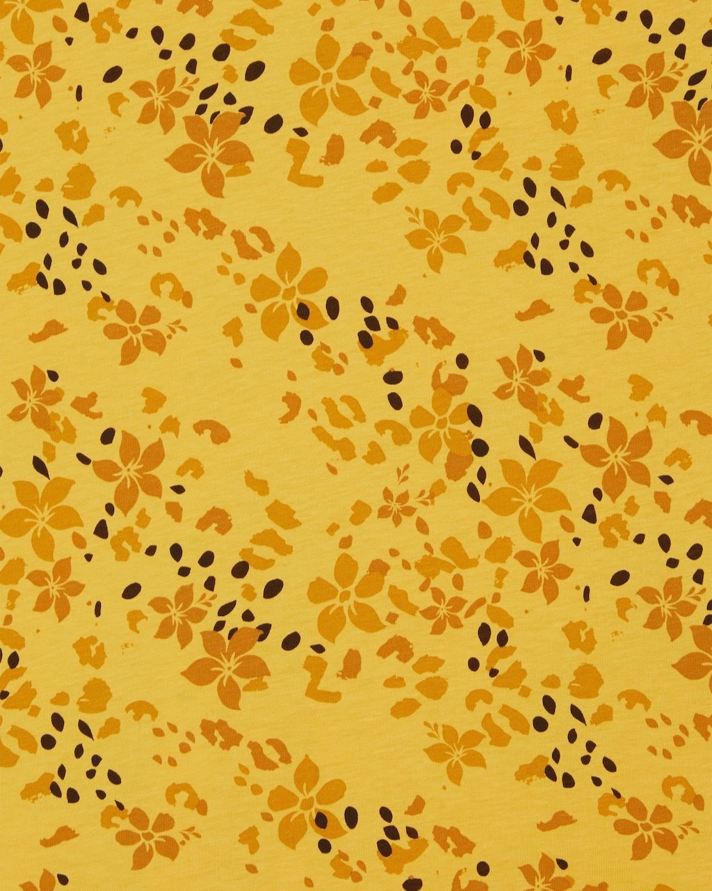 ���󥯥ȥå�