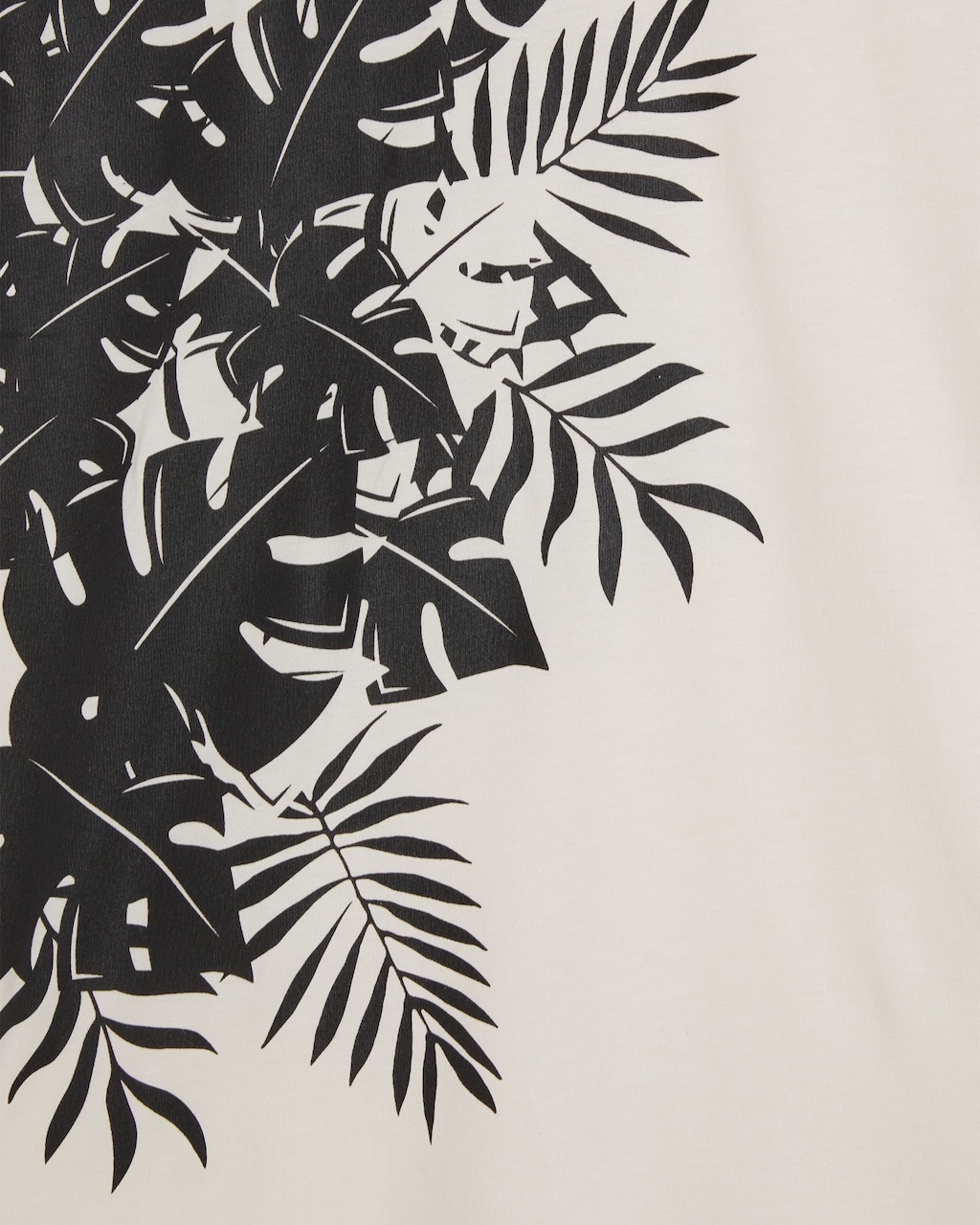 ȾµT�����