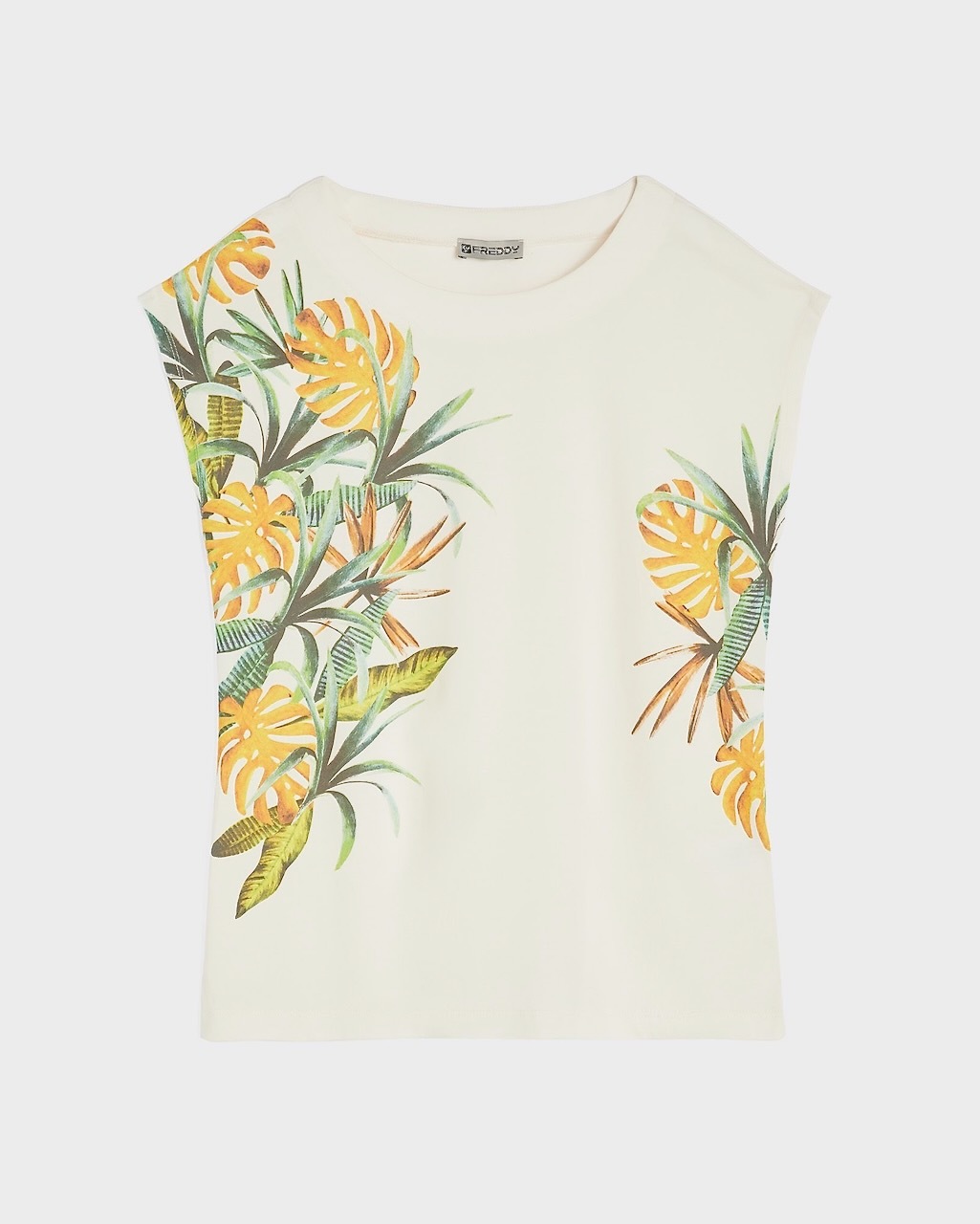 ȾµT�����