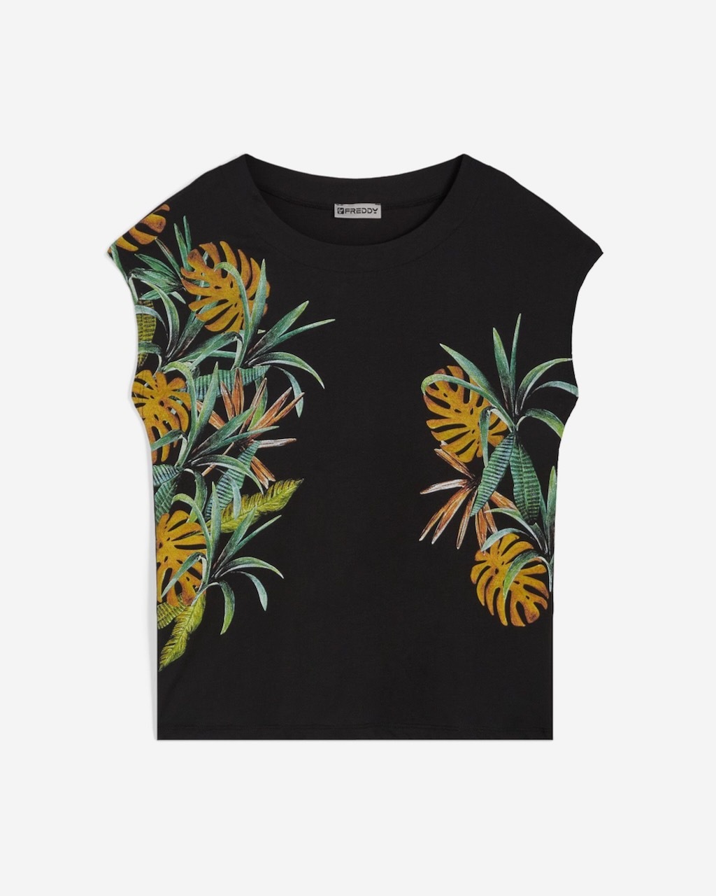 ȾµT�����