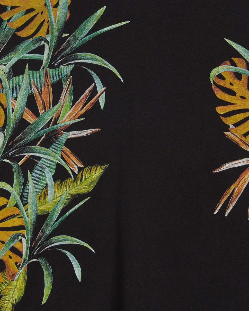 ȾµT�����