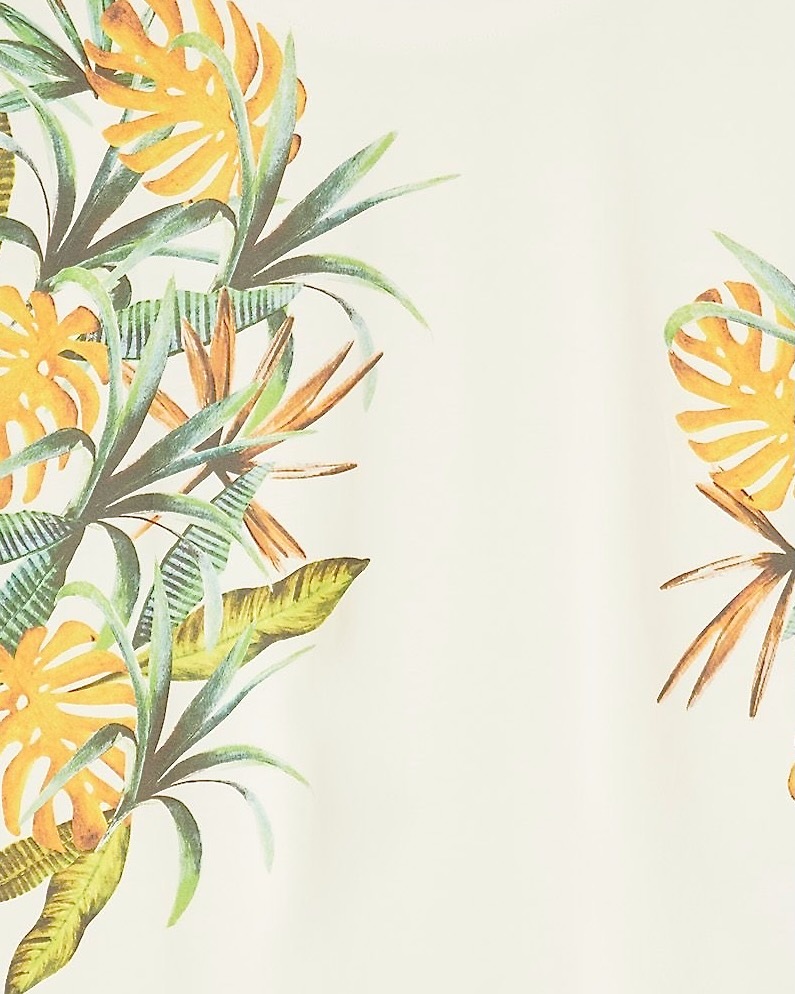 ȾµT�����