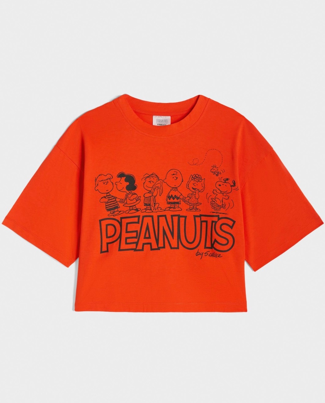 ȾµT����ġ�PEANUTS