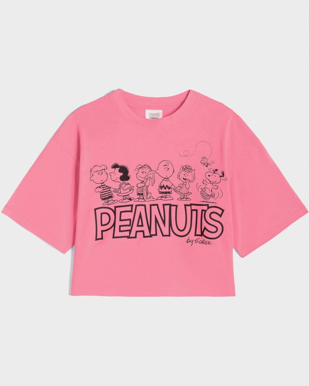 ȾµT����ġ�PEANUTS