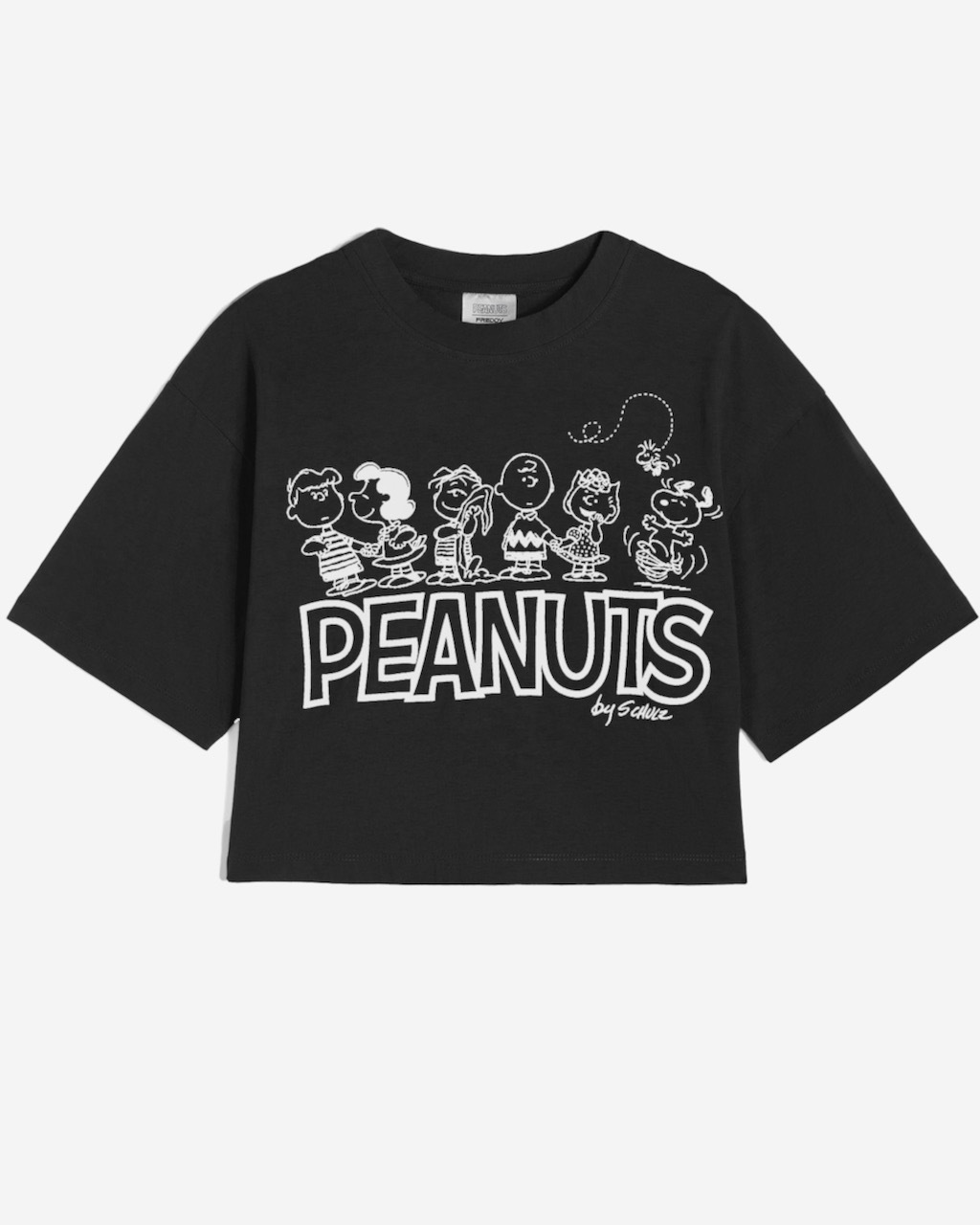 ȾµT����ġ�PEANUTS