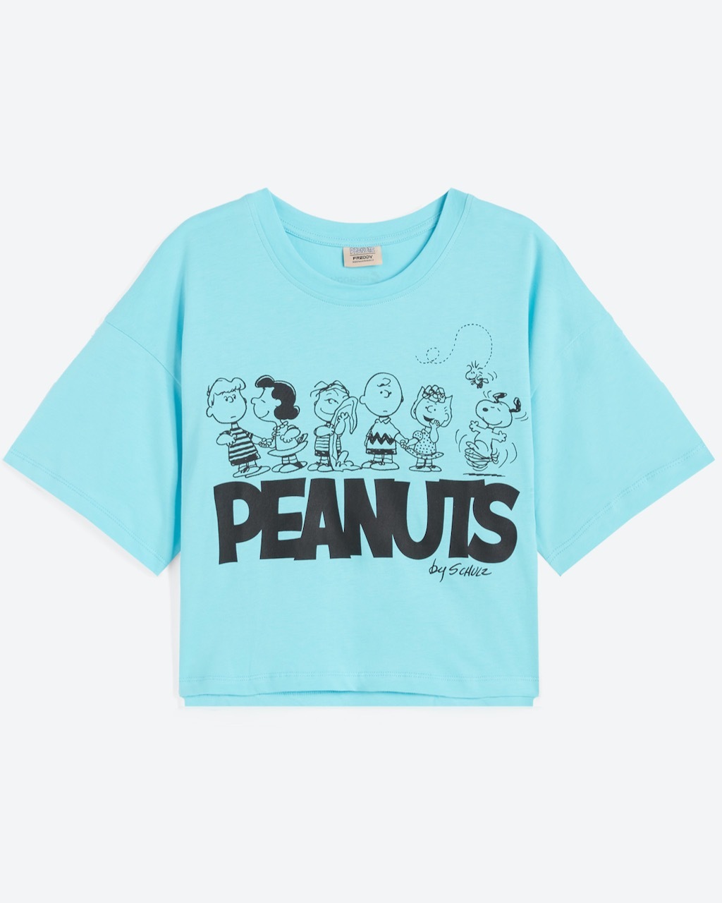 ȾµT����ġ�PEANUTS
