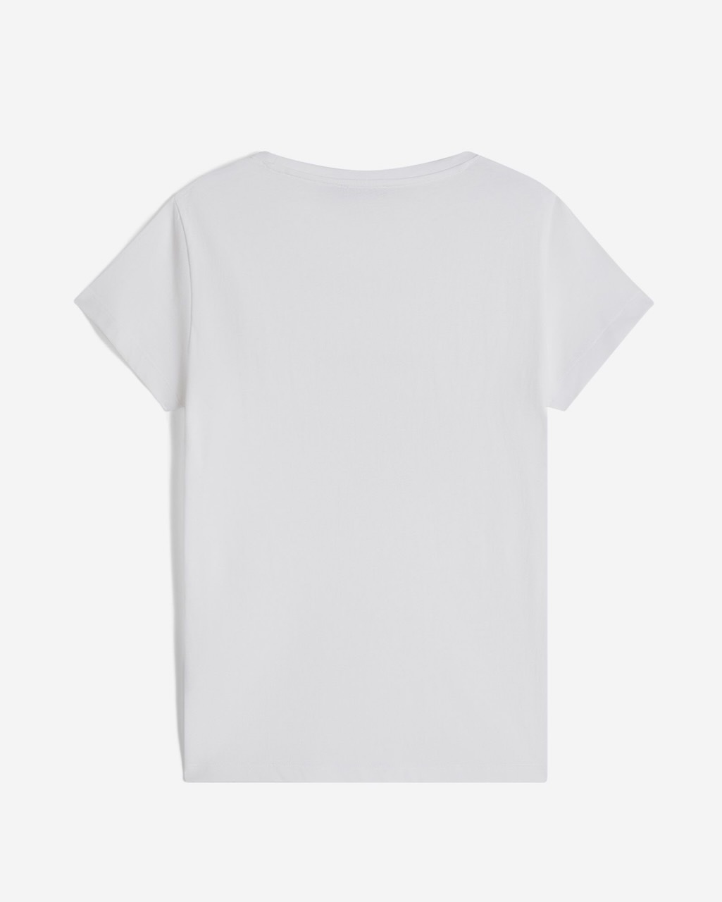 ȾµT�����