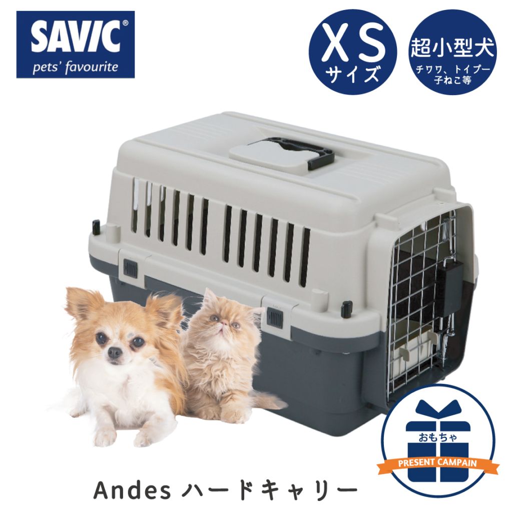 SAVIC (セイヴィック) Andes アンデス XSサイズ 【L50】