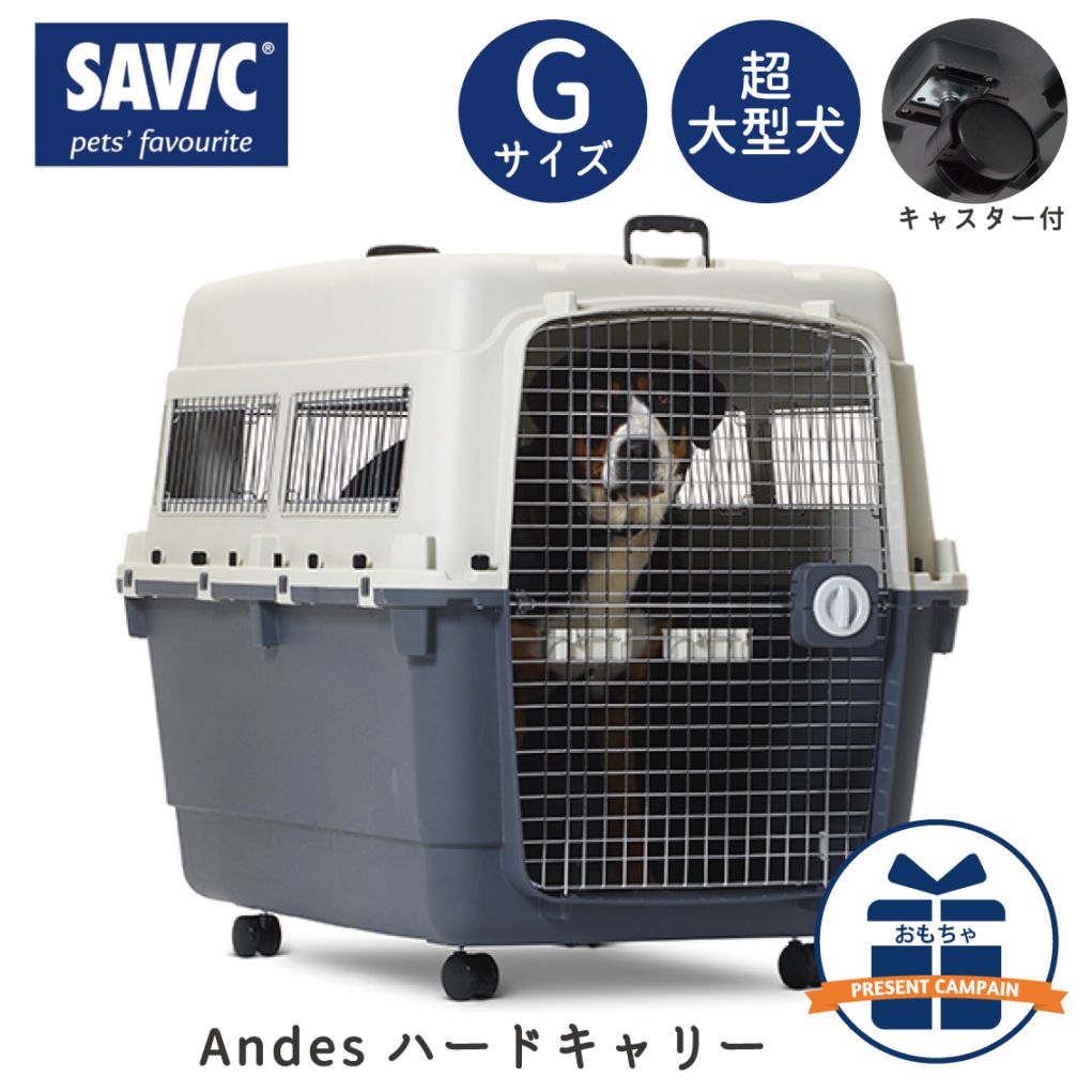 Dog,クレート・キャリー,大型犬用 | FREE BIRD (フリーバード)