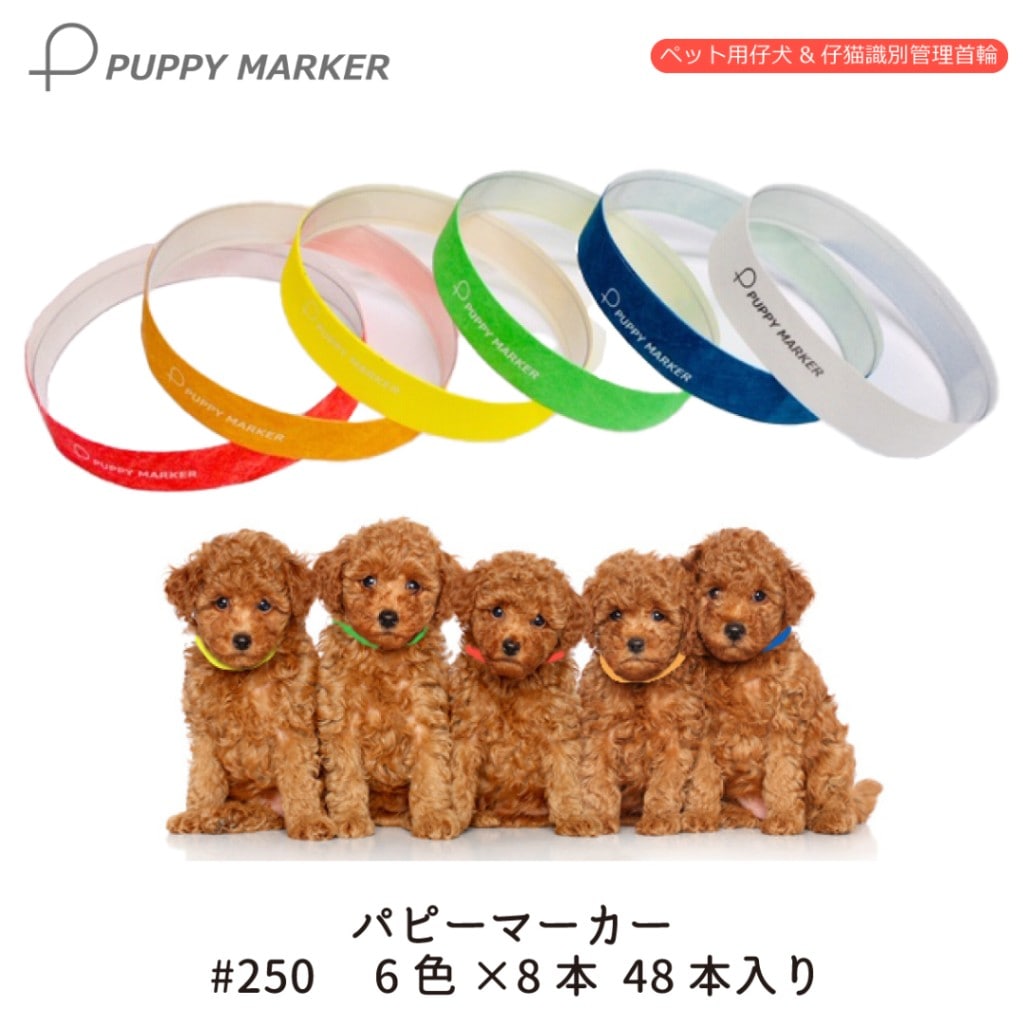 FREE BIRD パピーマーカー #250 48本(6色×8本)