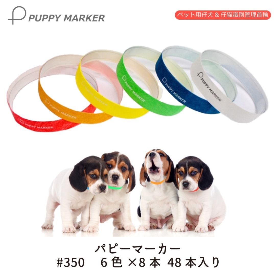 FREE BIRD パピーマーカー #350 48本(6色×8本)