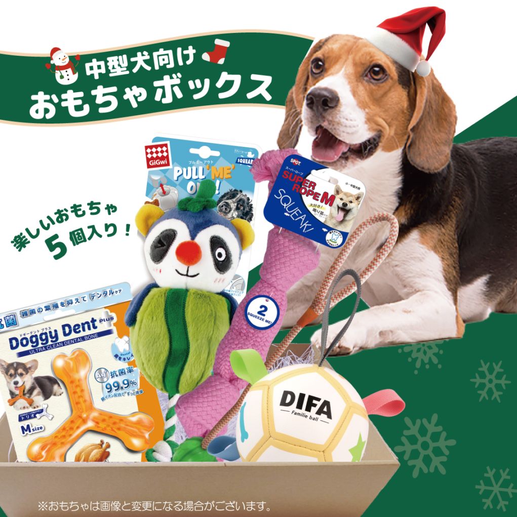 おもちゃボックス 中型犬用 | おもちゃボックス | FREE BIRD (フリー