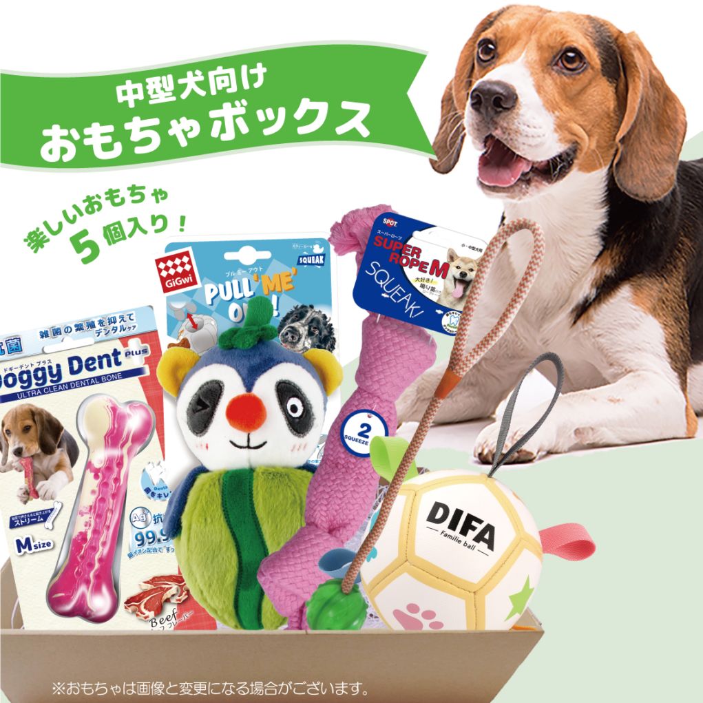 おもちゃボックス 中型犬用 | おもちゃボックス | FREE BIRD (フリー