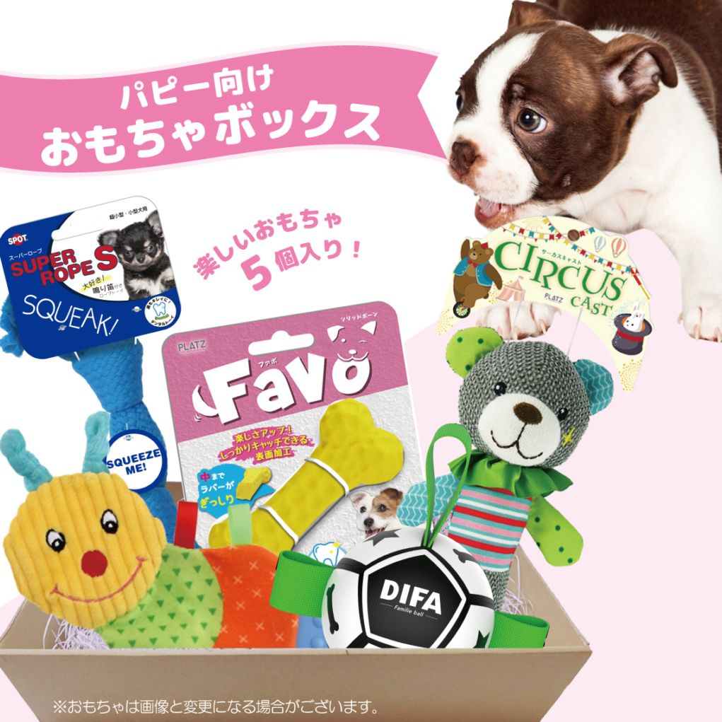 おもちゃボックス　パピー用