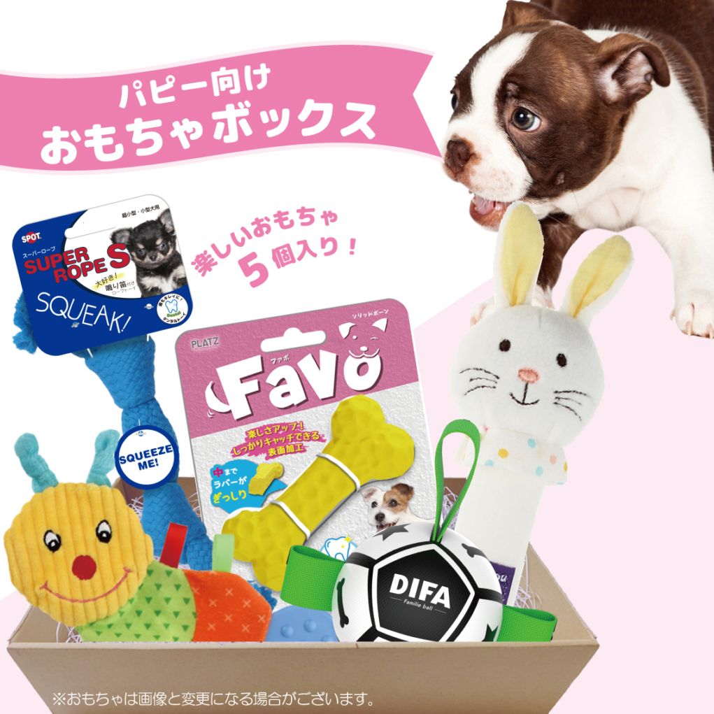 おもちゃボックス パピー用 | おもちゃボックス | FREE BIRD (フリー