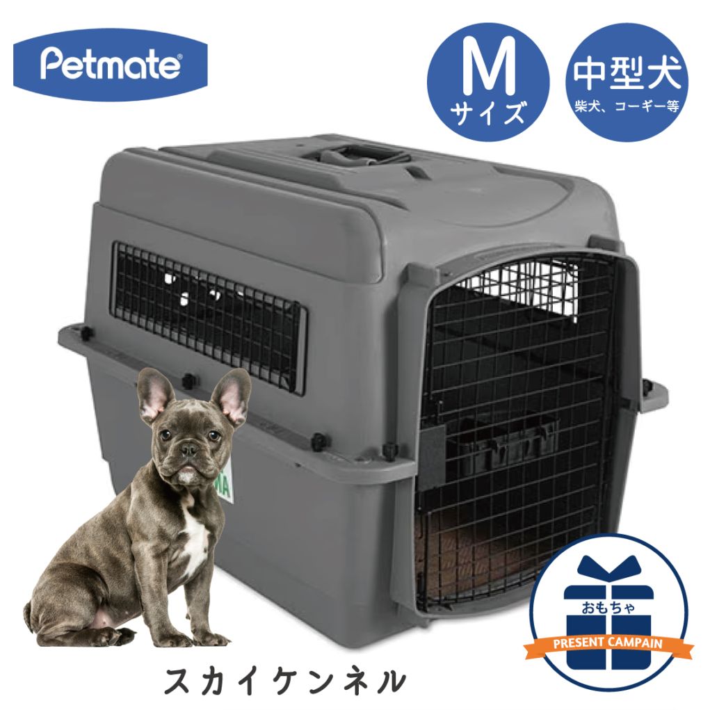 Dog,クレート・キャリー | FREE BIRD (フリーバード)