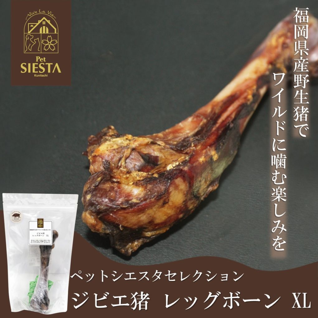 福岡県産 ジビエ猪 レッグボーン XL