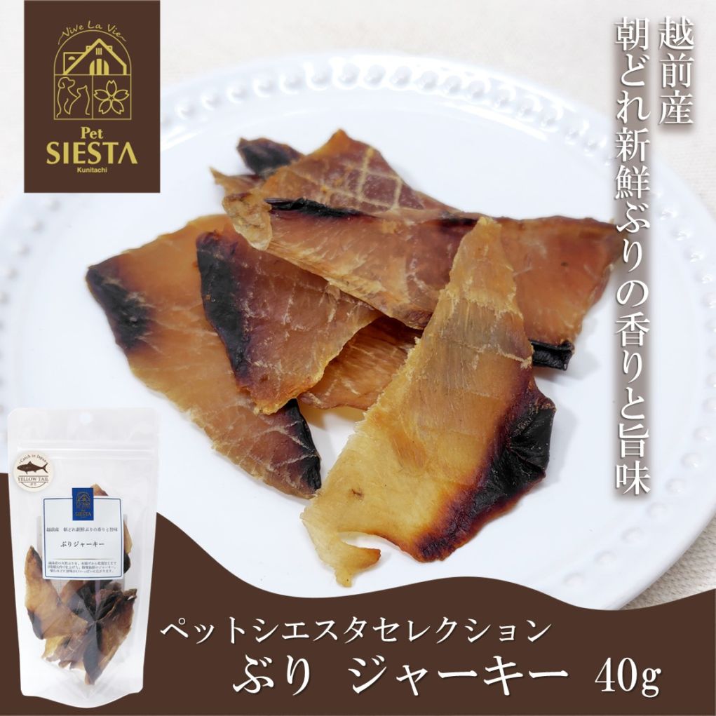 越前産 ぶりジャーキー 40g