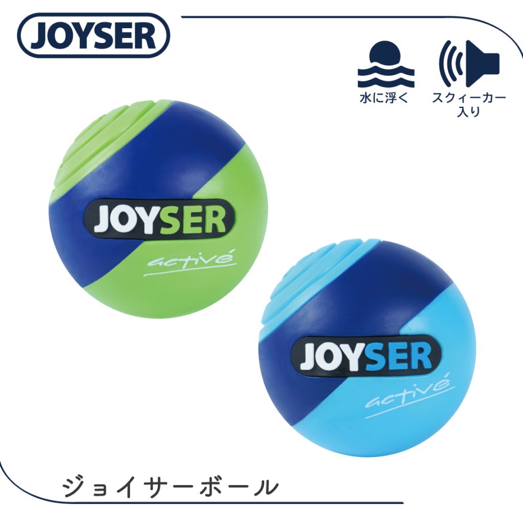 JOYSER ジョイサーボール