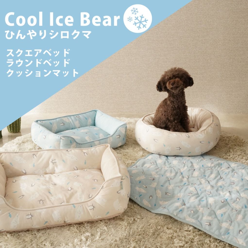 SALE 商品 8/28～9/3まで！ | FREE BIRD (フリーバード)