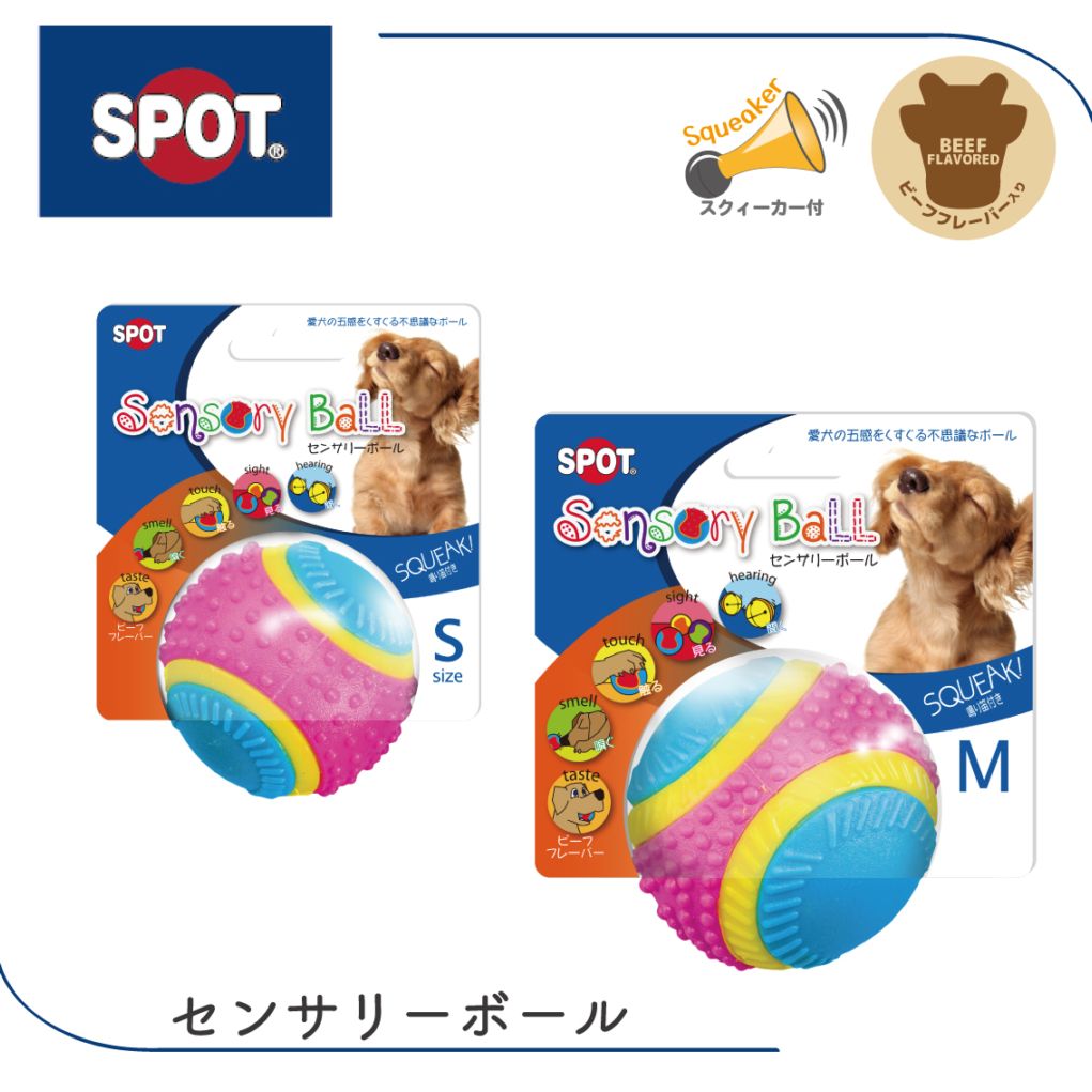センサリー ボール