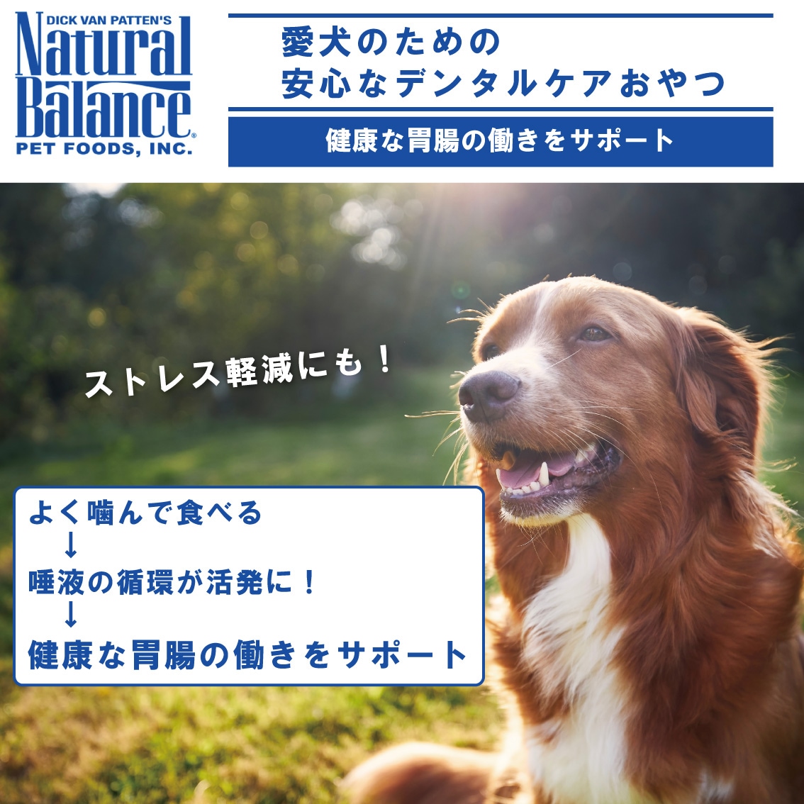 ナチュラルバランス ナチュラルチューイングボーン Mサイズ 5本