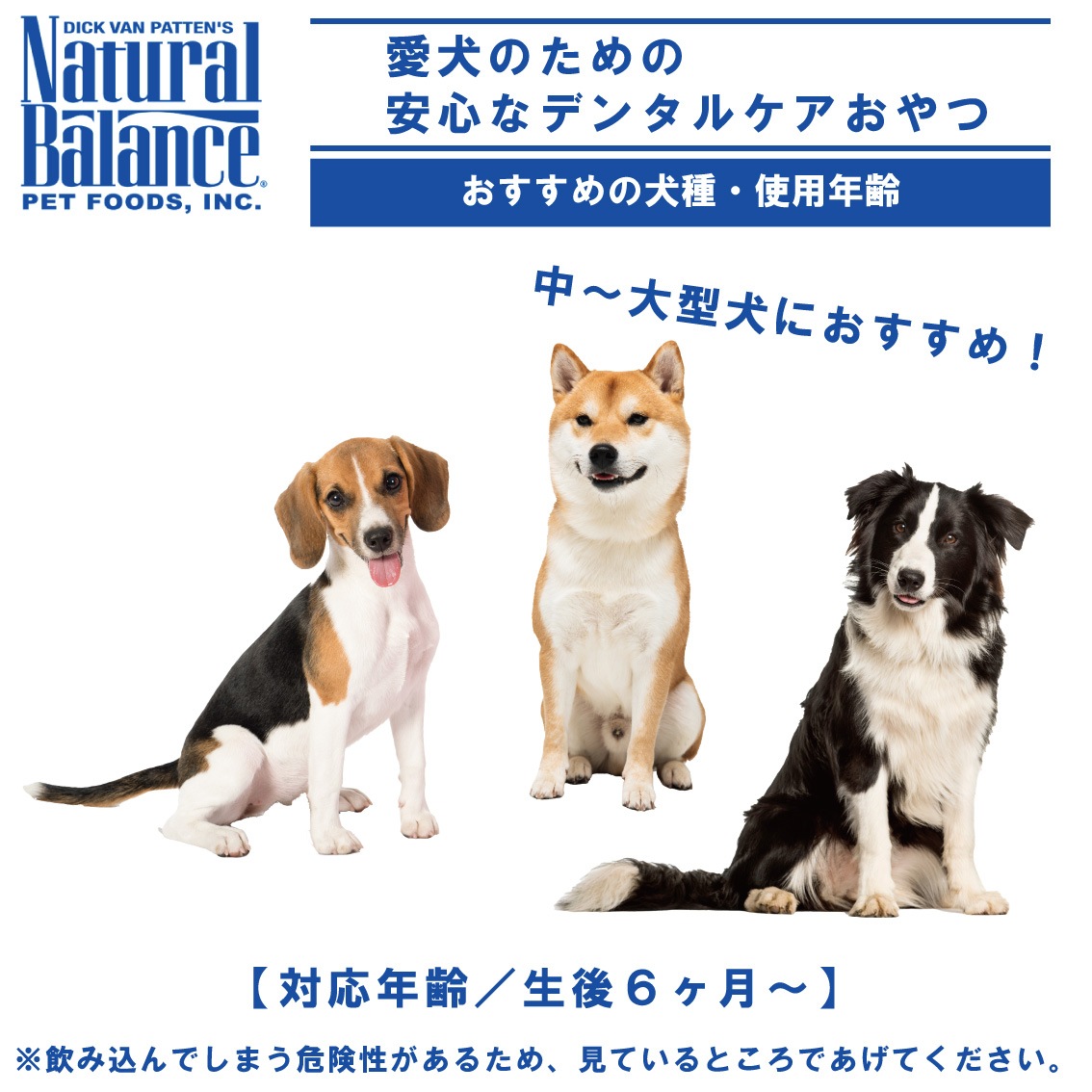 ナチュラルバランス ナチュラルチューイングボーン Mサイズ 5本
