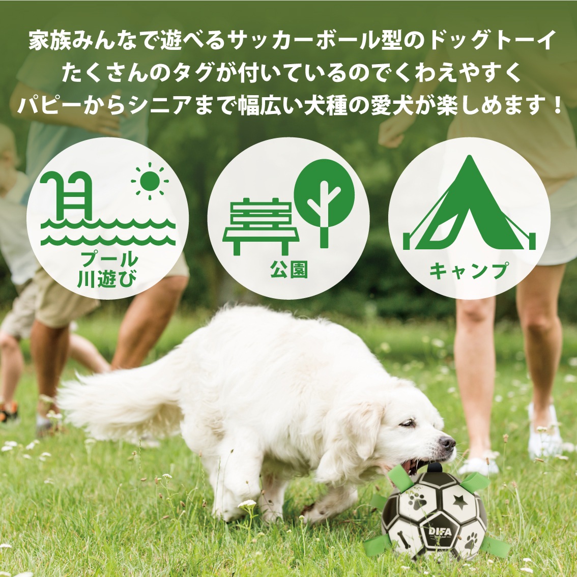 DIFA ファミリエボール | Dog,犬おもちゃ | FREE BIRD (フリーバード)