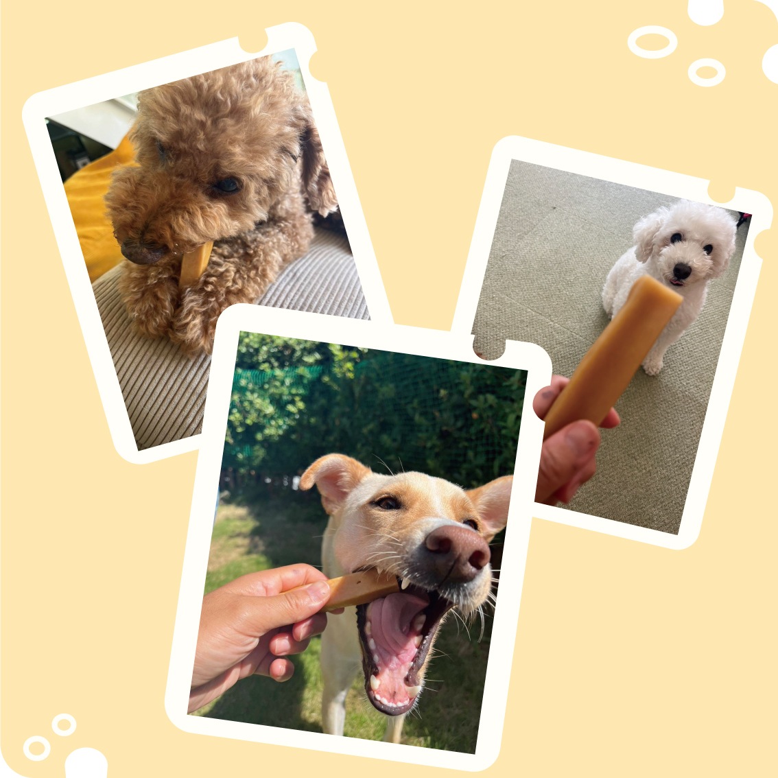 20%ポイント還元！】 ヒマラヤチーズ ヤクミルク Sサイズ | Dog,おやつ