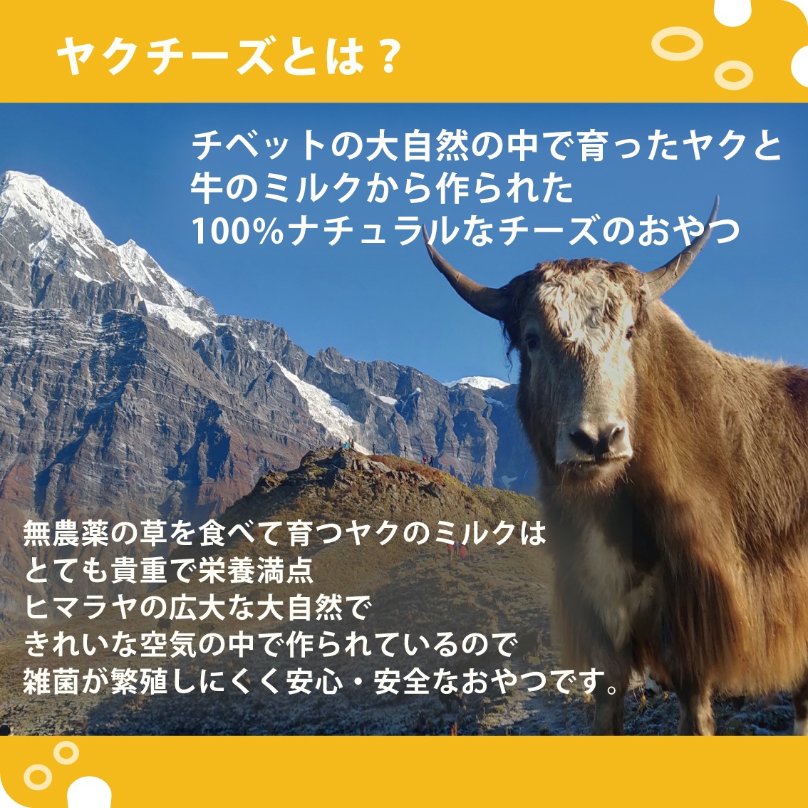 ヒマラヤチーズ ヤクミルク Sサイズ | Dog,おやつ,ヤクミルク ヒマラヤ
