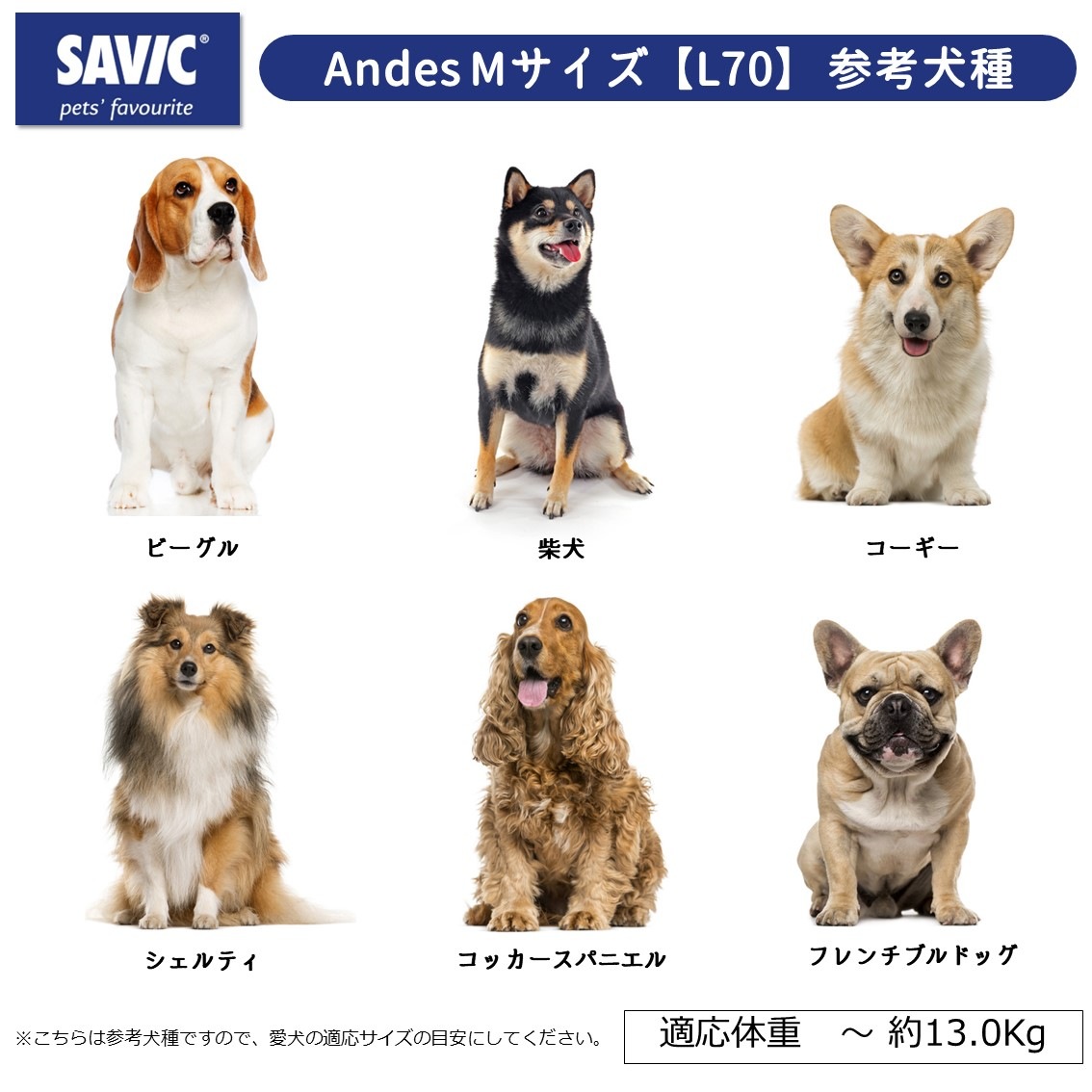 新品　大型犬　SAVIC　アンデス6　クレート SAVIC 犬 ハードキャリー ペットケージ キャスター付き クレート