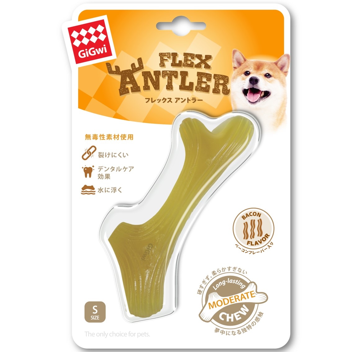 犬と遊ぼう ディスクドッグ ステップアップ編：未使用品DVD 犬と遊ぼう ディスクドッグ ステップアップ編：未使用品DVD