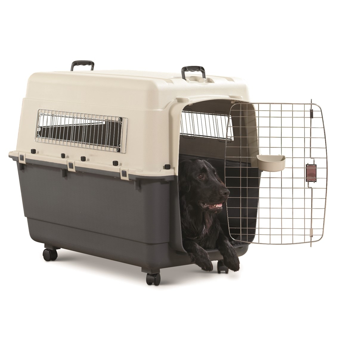 ティティアン・ピール、「CANIS LUPUS」、海外版超希少レゾネ、新品額付 SAVIC (セイヴィック) Andes アンデス XLサイズ 【L100】 | Dog